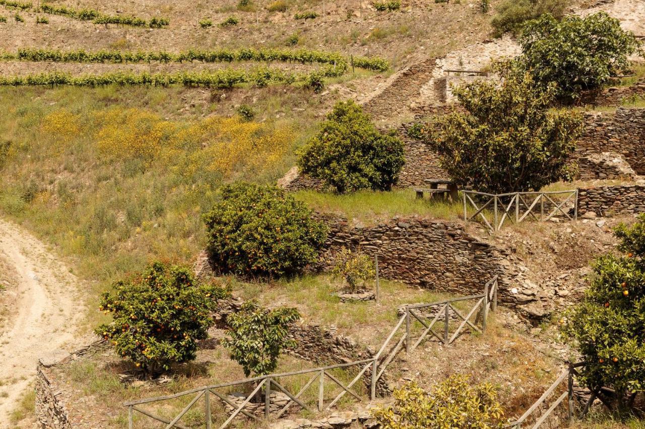 Quinta Nova Winery House - Relais & Chateaux Pinhão Exteriör bild